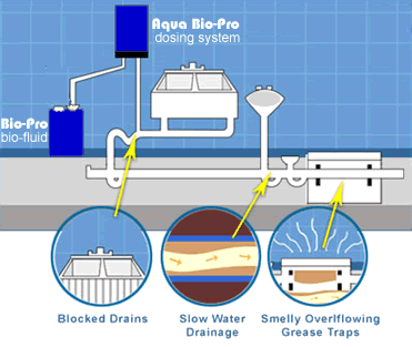 Aqua Bio-Pro dosing system for grease traps